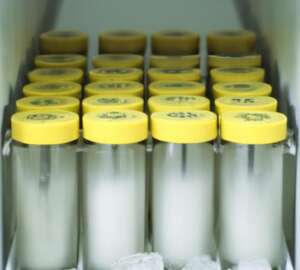 Peptide Research and Mechanisms: Understanding How Peptides Influence Biological Processes 16