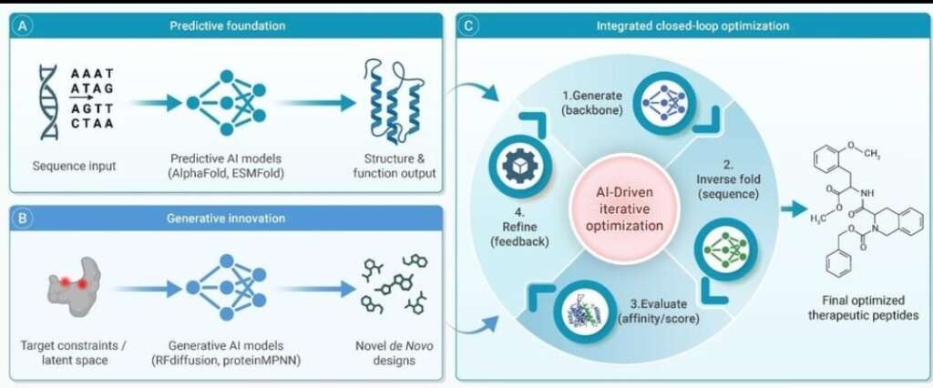 Peptide Research and Mechanisms: Understanding How Peptides Influence Biological Processes 21