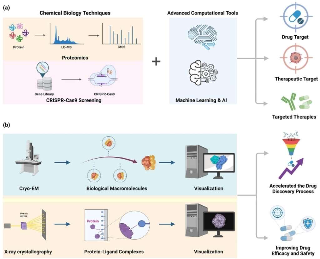 Peptide Research and Mechanisms: Understanding How Peptides Influence Biological Processes 19