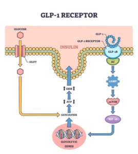 Peptide Research and Mechanisms: Understanding How Peptides Influence Biological Processes 9
